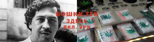 ПСИЛОЦИБИНОВЫЕ ГРИБЫ Алексин