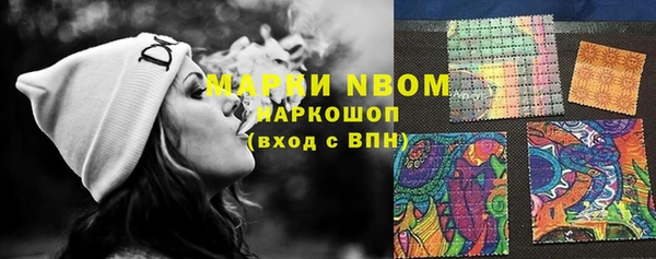 ПСИЛОЦИБИНОВЫЕ ГРИБЫ Алексин