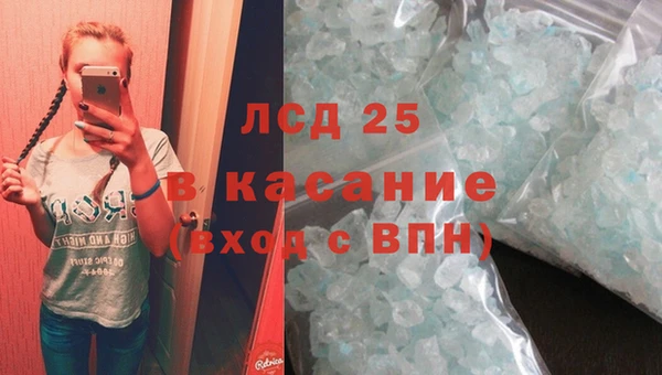 ПСИЛОЦИБИНОВЫЕ ГРИБЫ Алексин