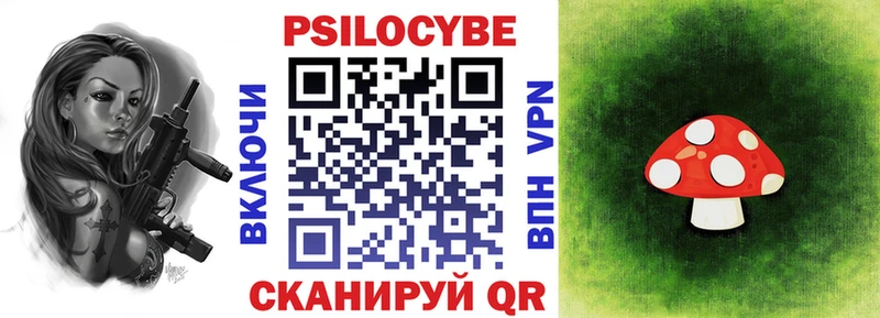 mega ссылка  Дзержинский  Галлюциногенные грибы Psilocybe 