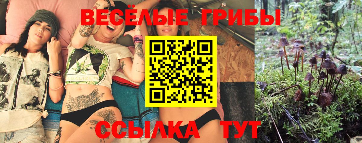 Псилоцибиновые грибы Cubensis  Вход с VPN  Дзержинский  Галлюциногенные грибы Cubensis 